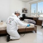 شركة رش حشرات الخرج