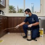 رش حشرات فى الرياض